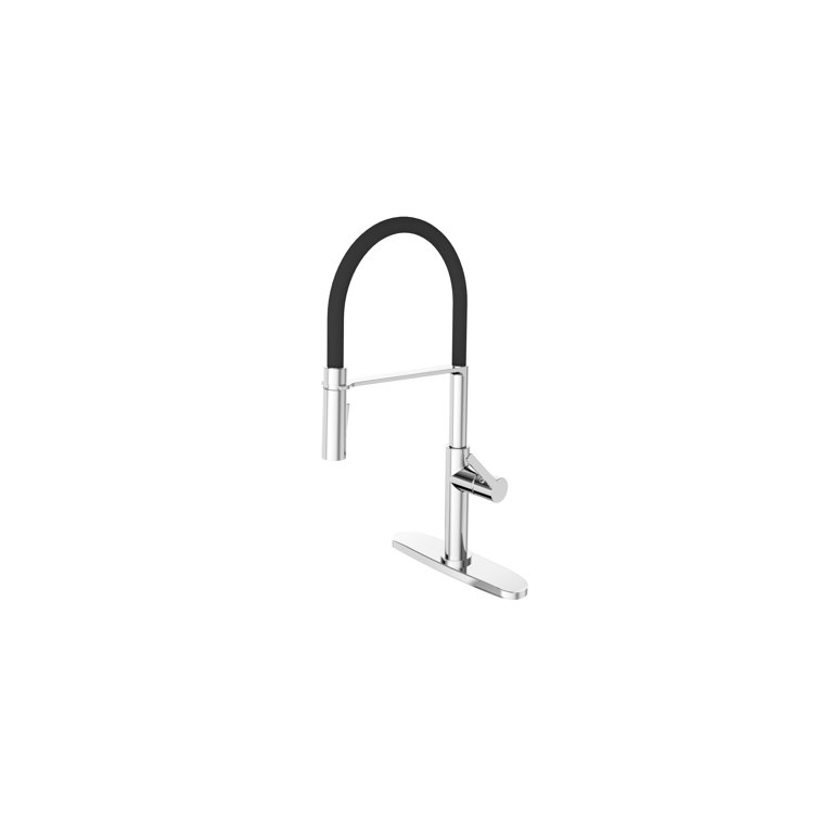 Clovis Goods Pull Down Kitchen Faucet & Reviews Wayfair Canada